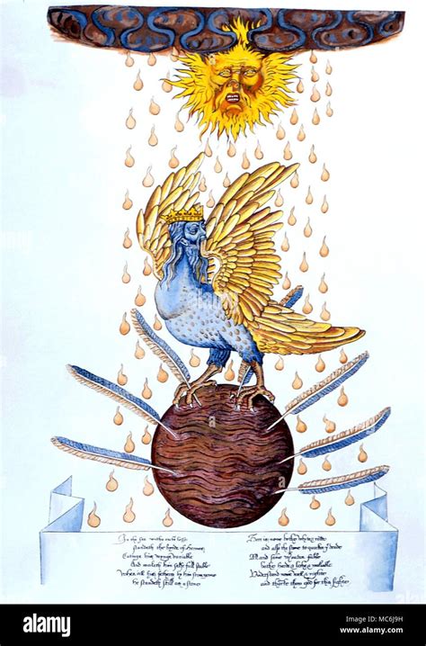 the bird of hermes origin|bird of hermes symbolism.